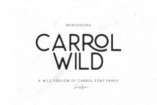 Carrol Wild: A Wild & Modern Sans Serif